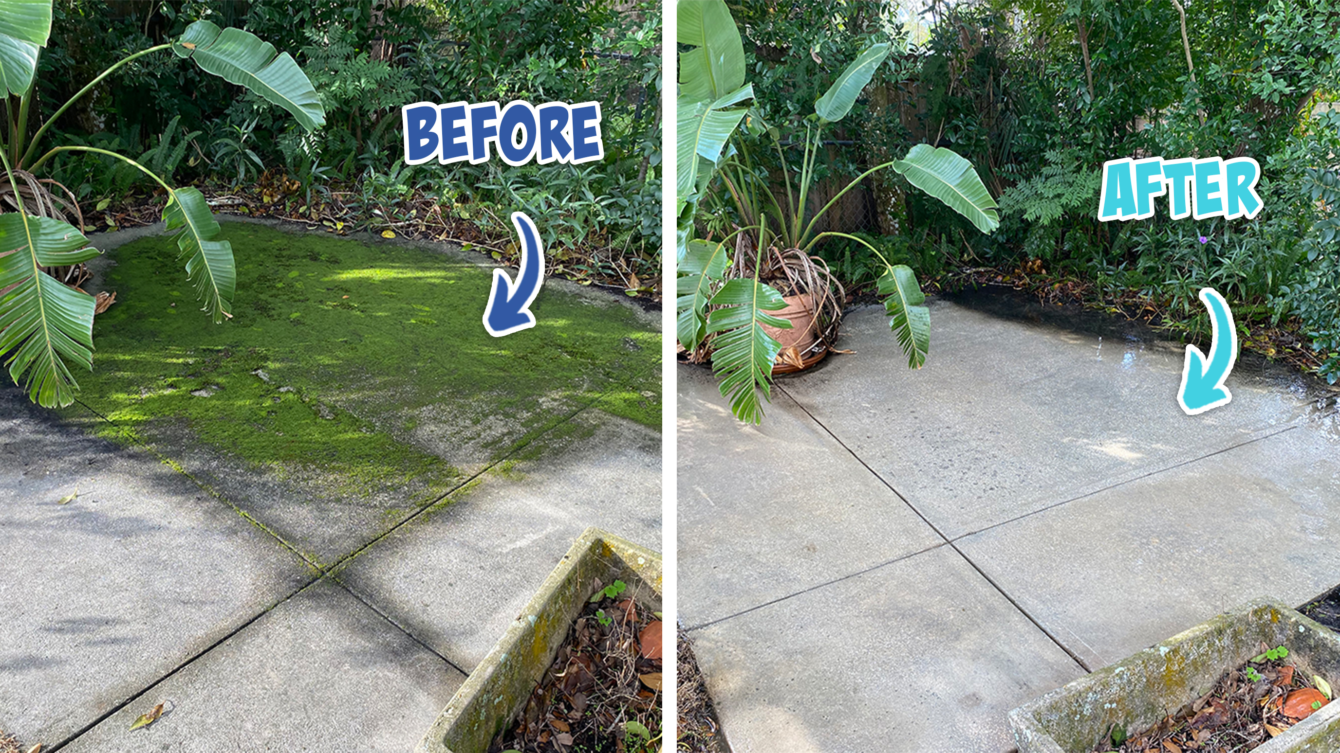Revitalizing Driveways and Clearing Gutters in Skycrest, Orlando, FL